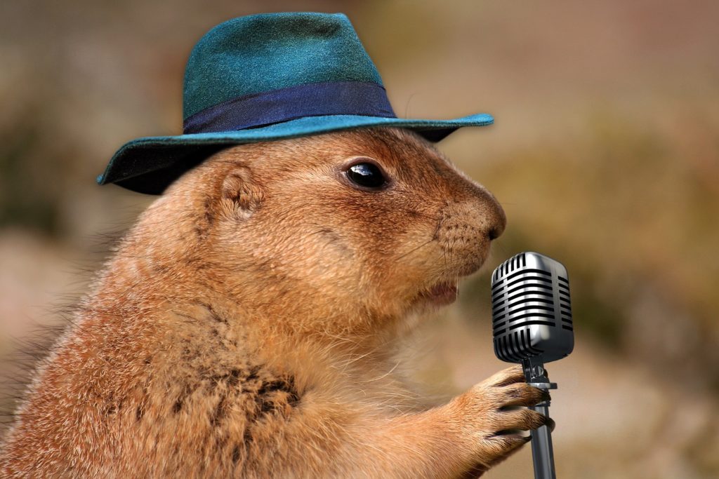 Prairie Dog Announcer