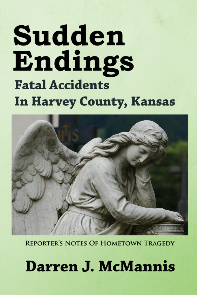 Book Cover: Sudden Endings