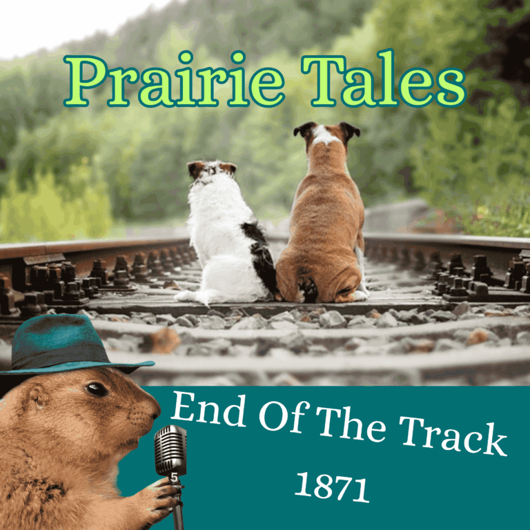 The  End Of The Track