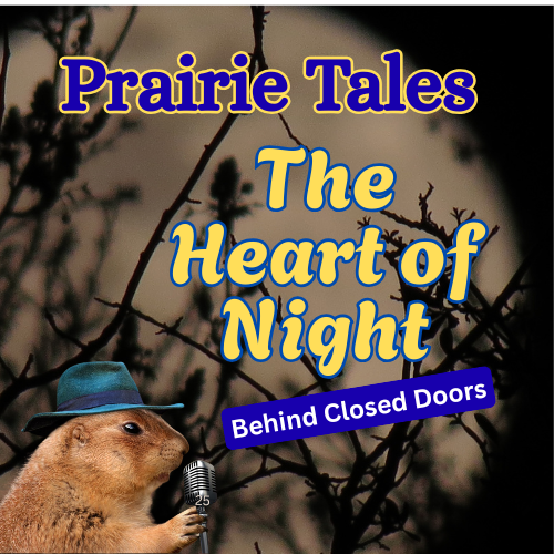 The Heart of Night – Behind Closed Doors